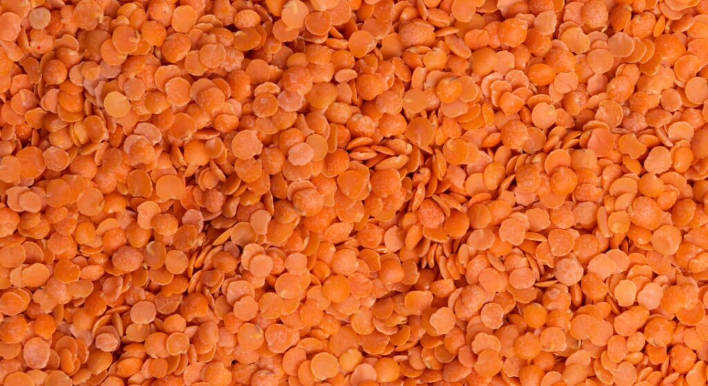 Masoor dal – red Indian lentils